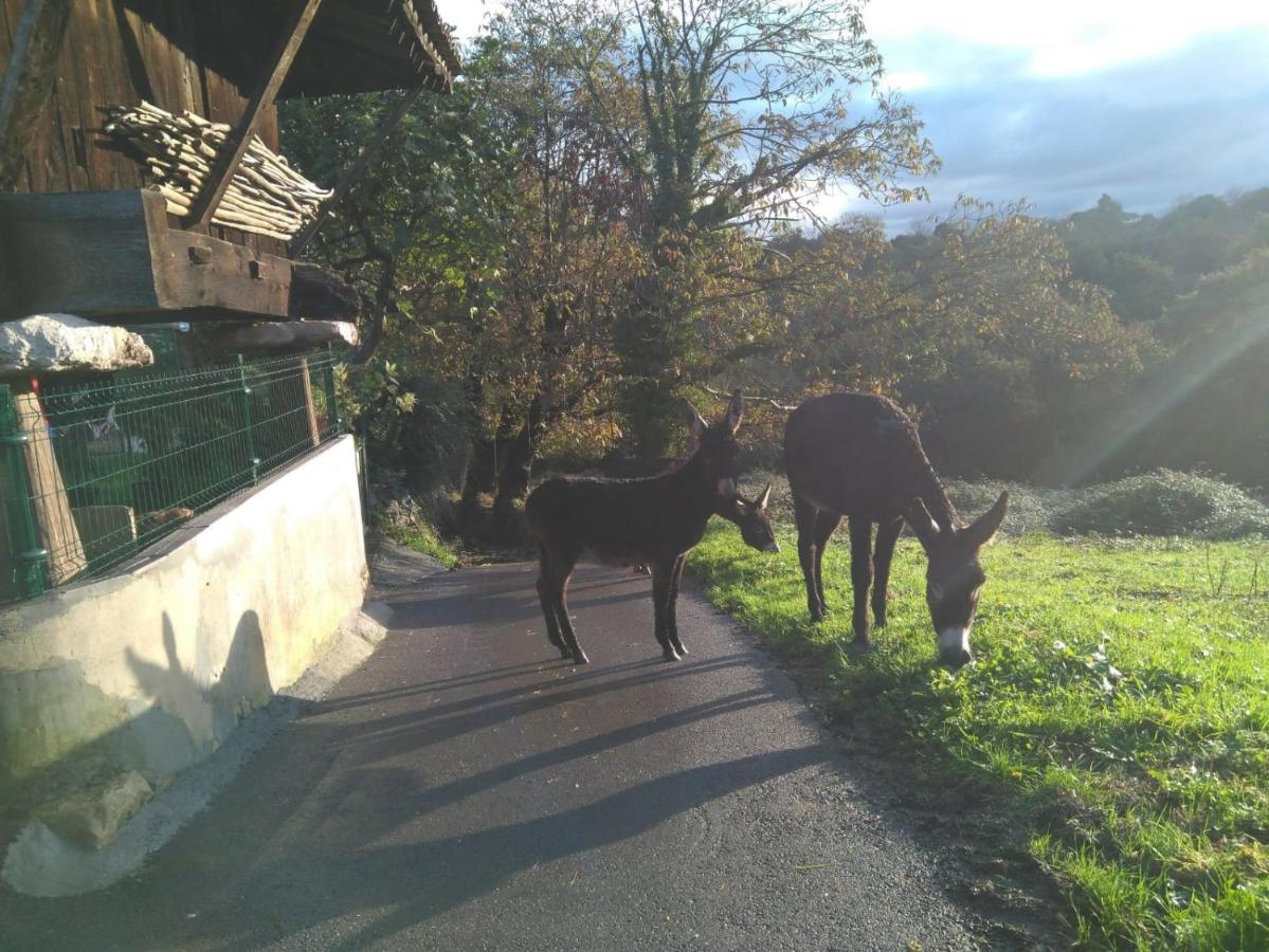 Гостьовий будинок Casa Pepin - Sagasta Rural Ов'єдо Екстер'єр фото